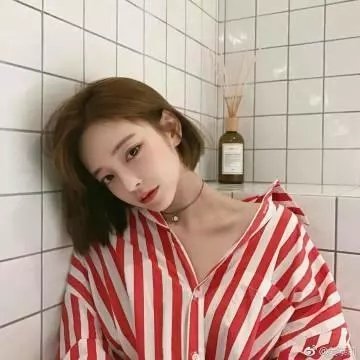 哈比全家福